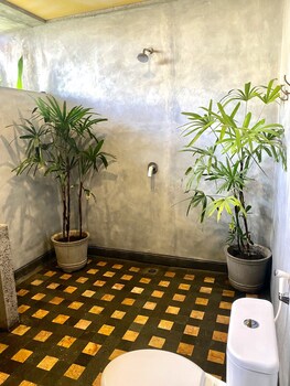 mangroove bay boutique hostel