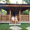 mangroove bay boutique hostel