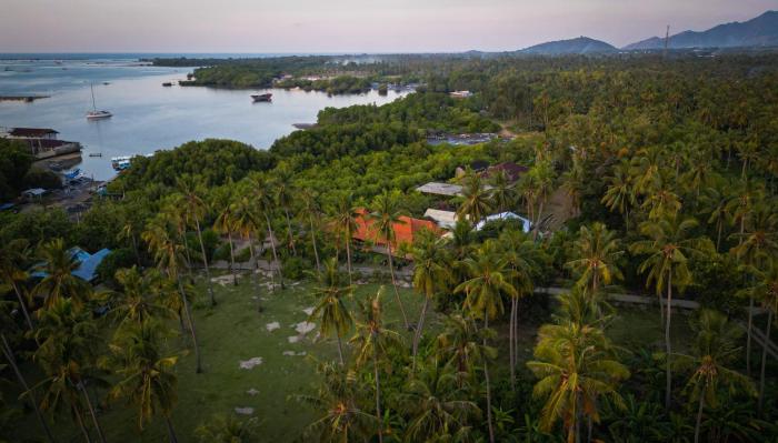 mangroove bay boutique hostel