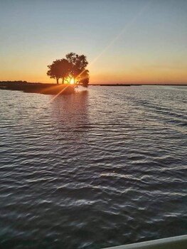 ngoma