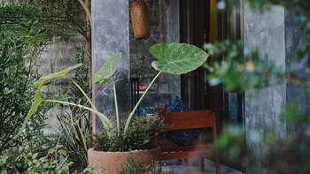 nam an mama villa hoi an