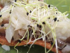 hotel ciudad de calahorra