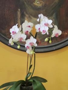 hotel ciudad de calahorra