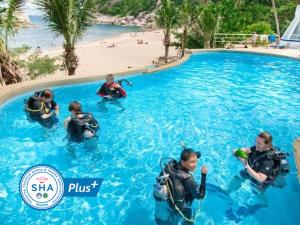 lub d koh tao tanote bay