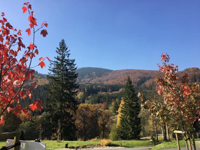 hotel and garden u holubu