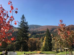 hotel and garden u holubu