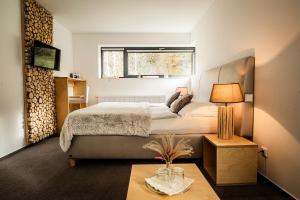 hotel and garden u holubu