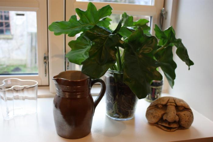 akaciegaarden bed and breakfast