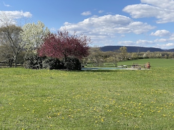 chestnuthill countryside manor