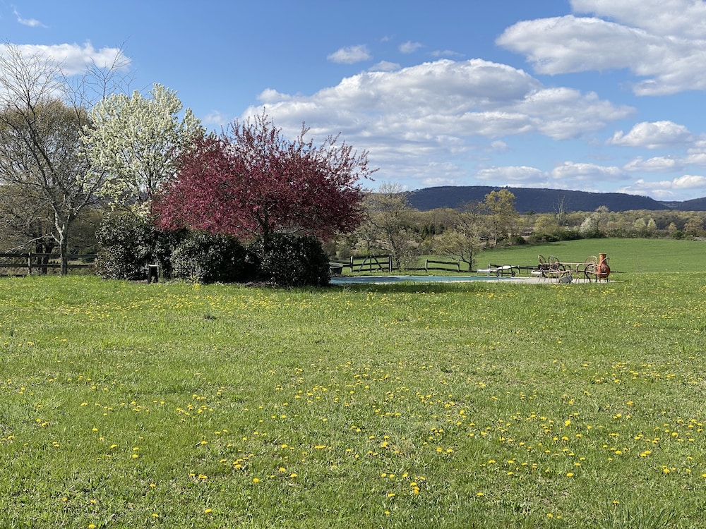 chestnuthill countryside manor