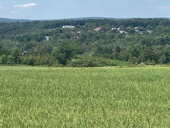 chestnuthill countryside manor
