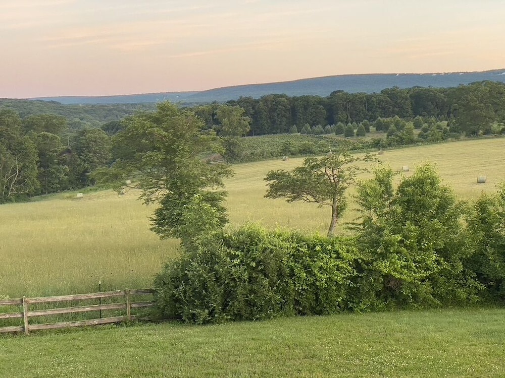 chestnuthill countryside manor