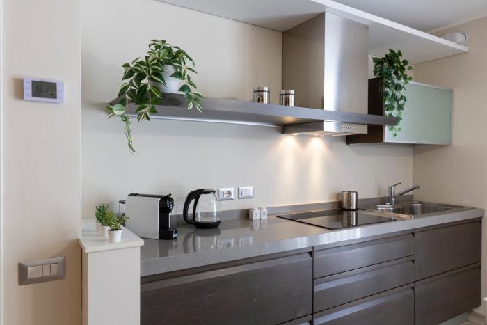 notami salomone mecenate district