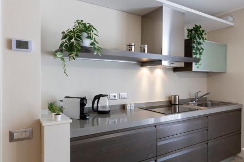 notami salomone mecenate district