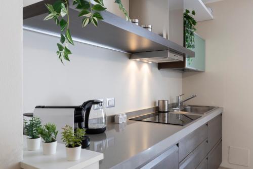 notami salomone mecenate district