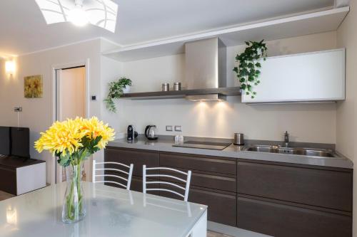 notami salomone mecenate district