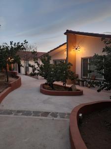 valle de guadalupe