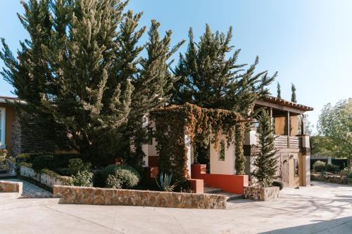 valle de guadalupe