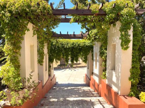 valle de guadalupe