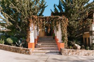 valle de guadalupe