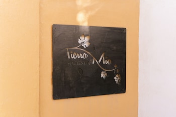 valle de guadalupe