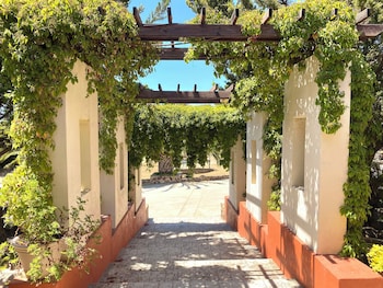 valle de guadalupe