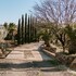 valle de guadalupe