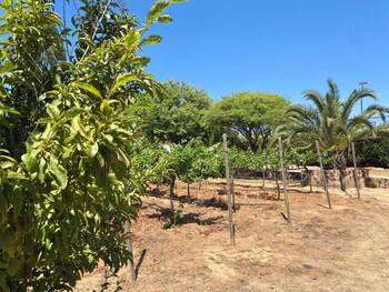 valle de guadalupe