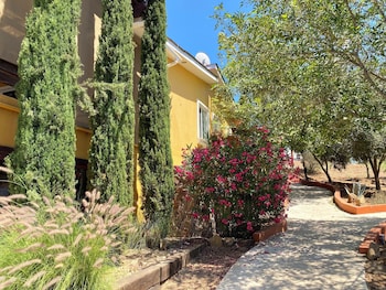 valle de guadalupe