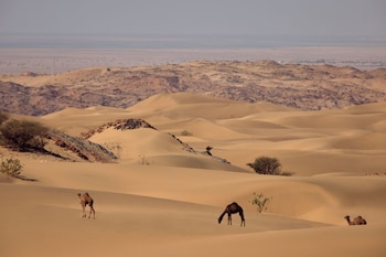 six senses southern dunes the red sea