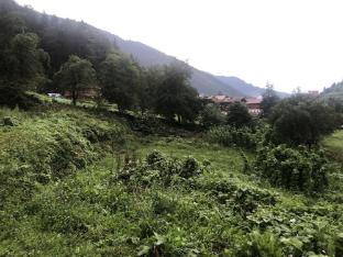 uzungol cerrahpasa suites