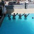 camlik zeynur otel