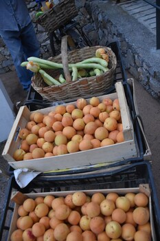 la gioiosa
