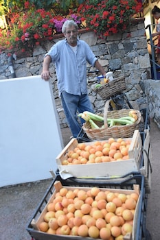 la gioiosa
