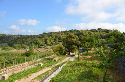 la gioiosa