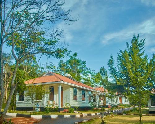 ngorongoro corridor lodge