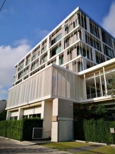 welladee wellness chiang mai