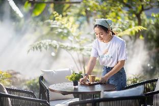welladee wellness chiang mai