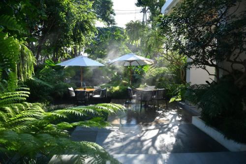 welladee wellness chiang mai