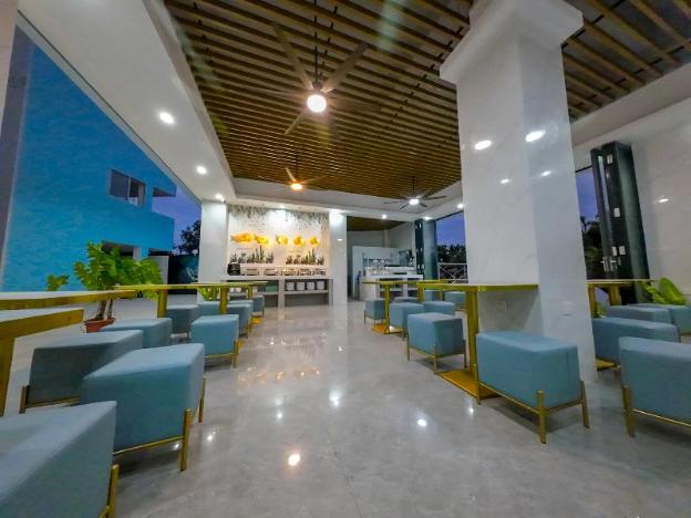 bohol dolphin bay resort