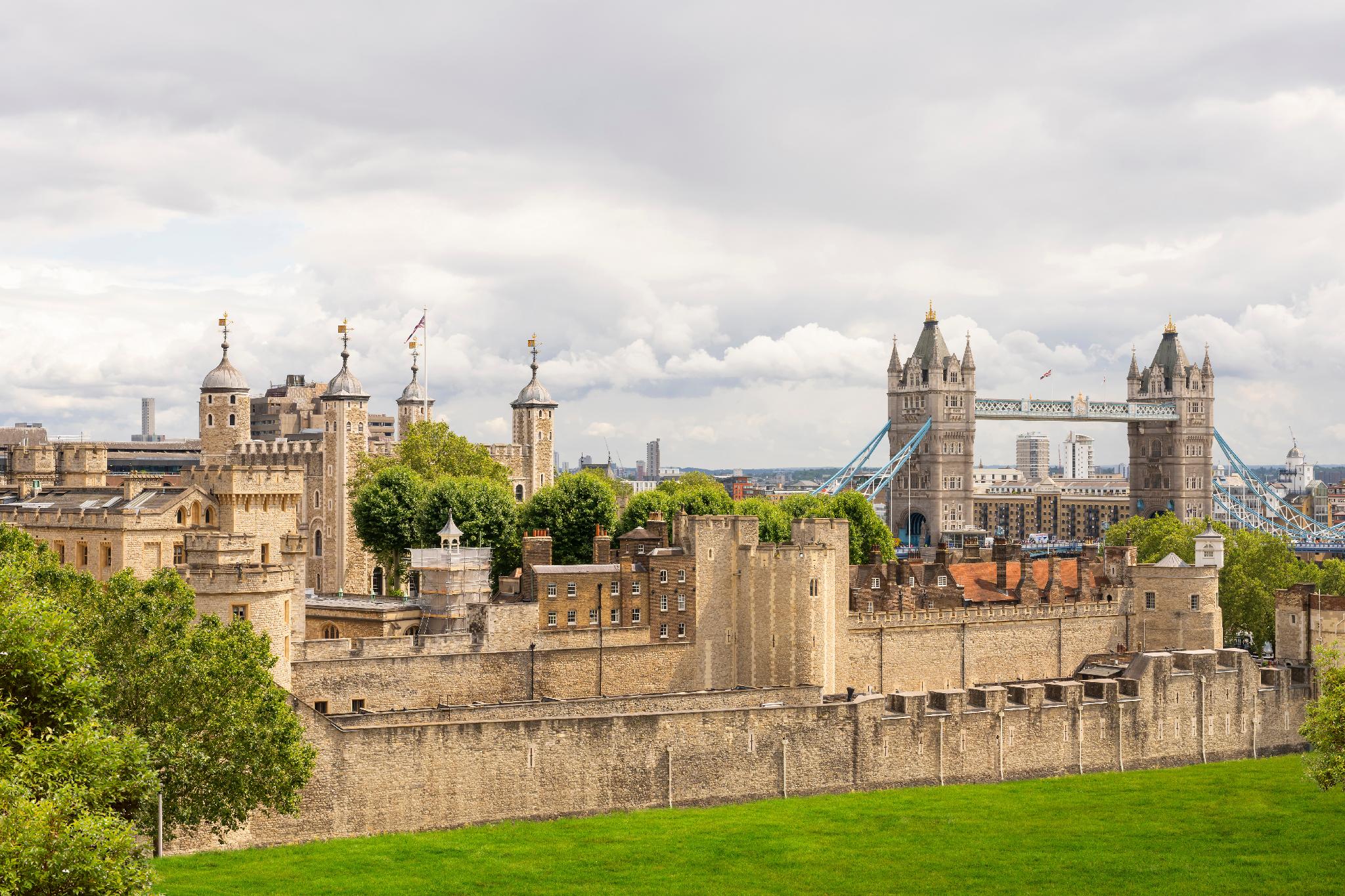 tower residences by blue orchid