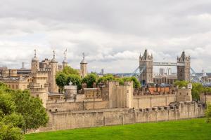 tower residences by blue orchid