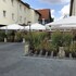 hotel isenbutteler hof