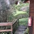 cabanas ruka rayun