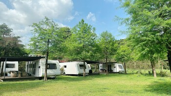 tana camper van