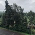 dads place