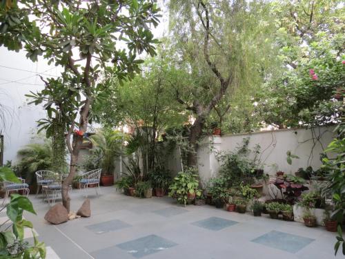 trendy bed and breakfast and service apartments