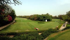 trendy bed and breakfast and service apartments