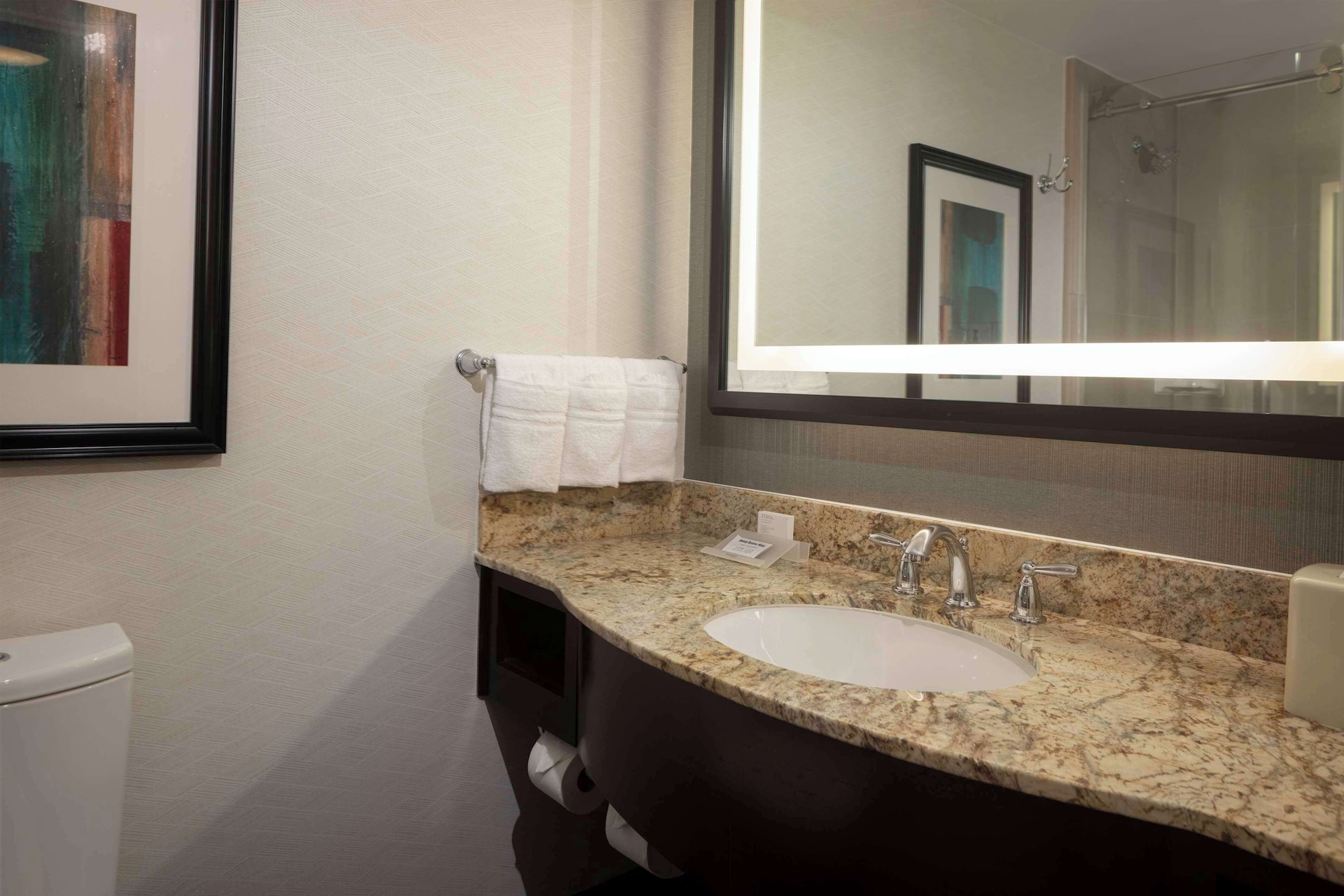 hilton garden inn washington dc georgetown area