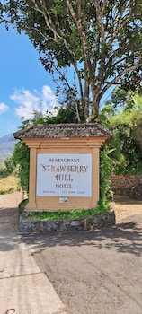 Strawberry Hill Hotel & Restaurant,Baturiti>>Bali,3 star